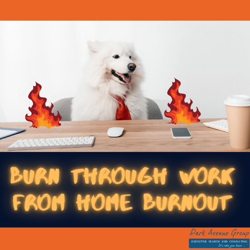 dog sitting at a desk with flames